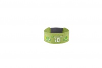 LittleLife Safety iD Strap turtle